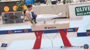 serie b lpg02584 ph pagliaricci ferraro